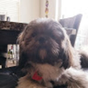 Meet your Posher, Ericka